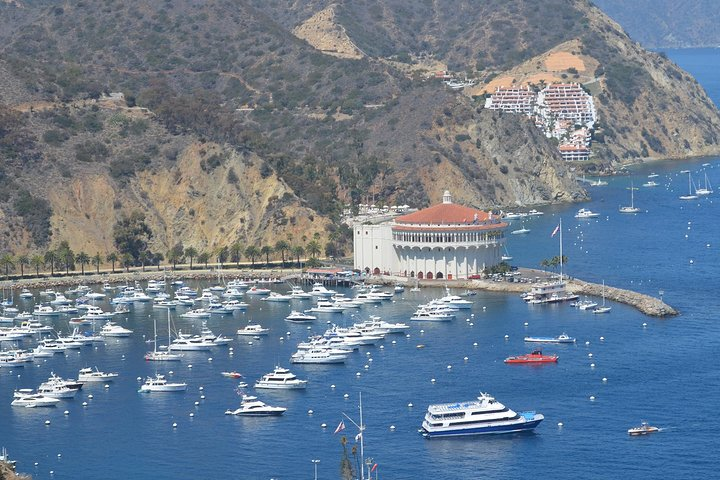 The view over Catalina Bay